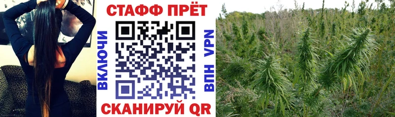 Канабис Зубцов