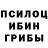 Псилоцибиновые грибы GOLDEN TEACHER Practical Planet