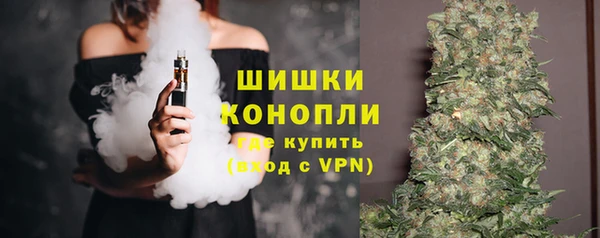 ешки Инсар