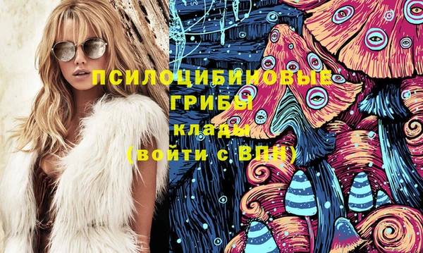 ешки Инсар
