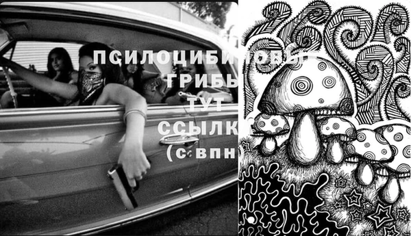 ешки Иннополис