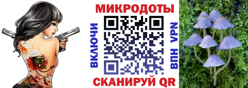 Псилоцибиновые грибы Cubensis  Купить где  Зубцов 